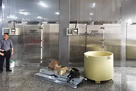 2臺日產10噸片冰機，湛江食品加工